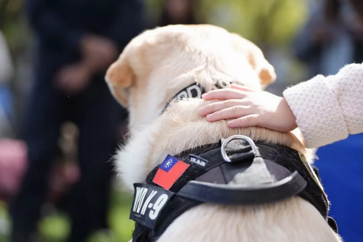 退休警犬「福星」人氣旺 代言消警月曆吸睛